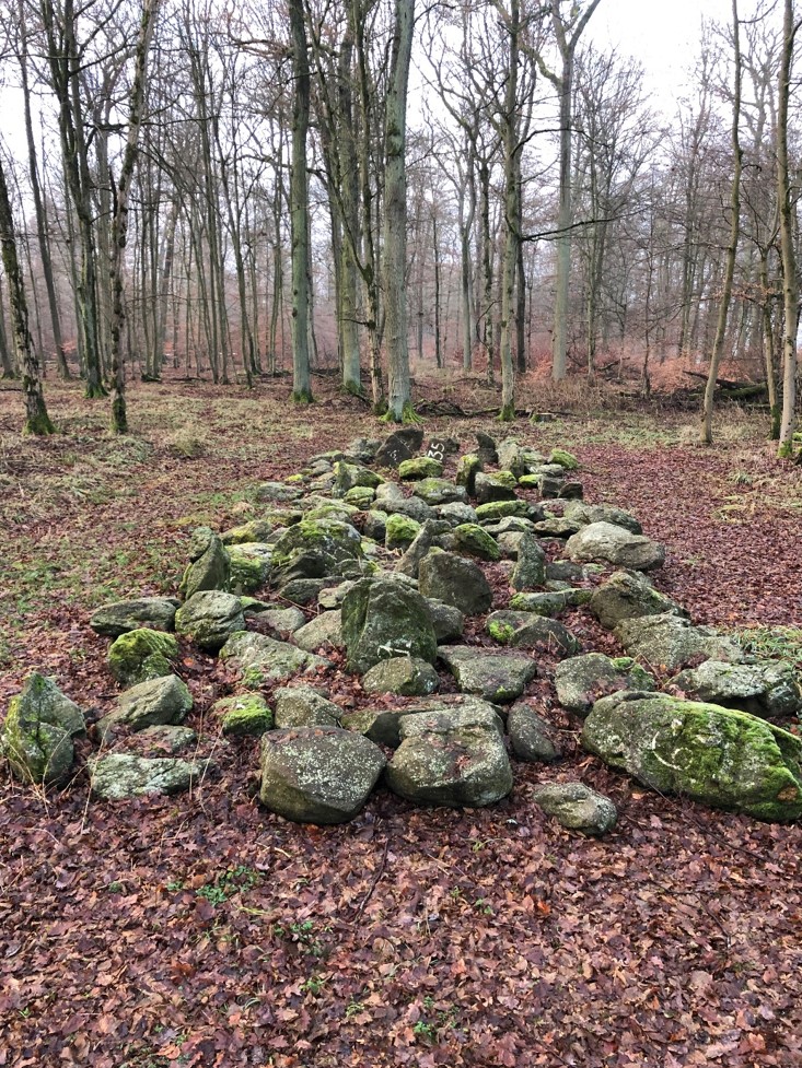 Megalithgrab Romrod (2021, Foto: Fabian Musch)