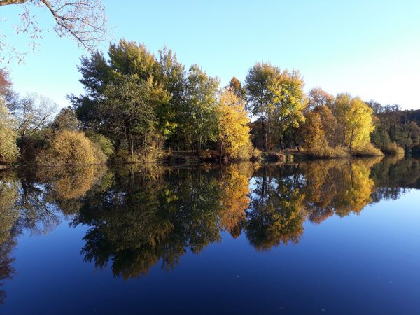 Buchhölzer Teich bei Nieder-Breidenbach (Romrod)