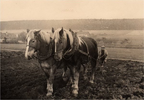 1200 Jahre Nieder-Breidenbach 2012 - Historische Bilder