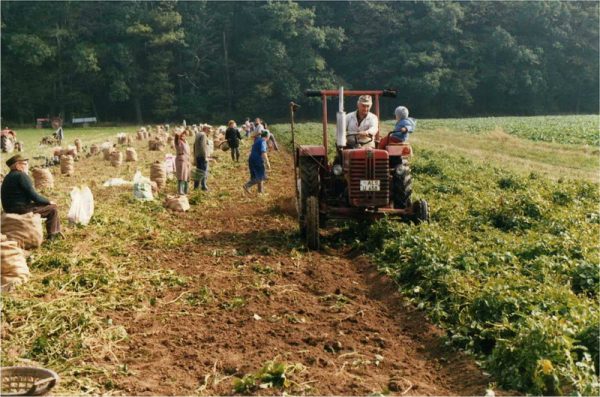 1200 Jahre Nieder-Breidenbach 2012 - Historische Bilder