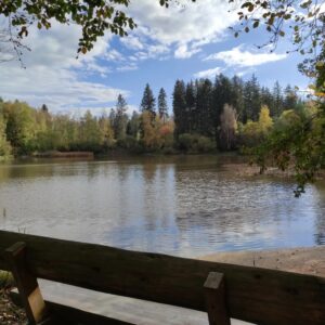 Mehlbacher Teich (Foto: Melanie Merte)