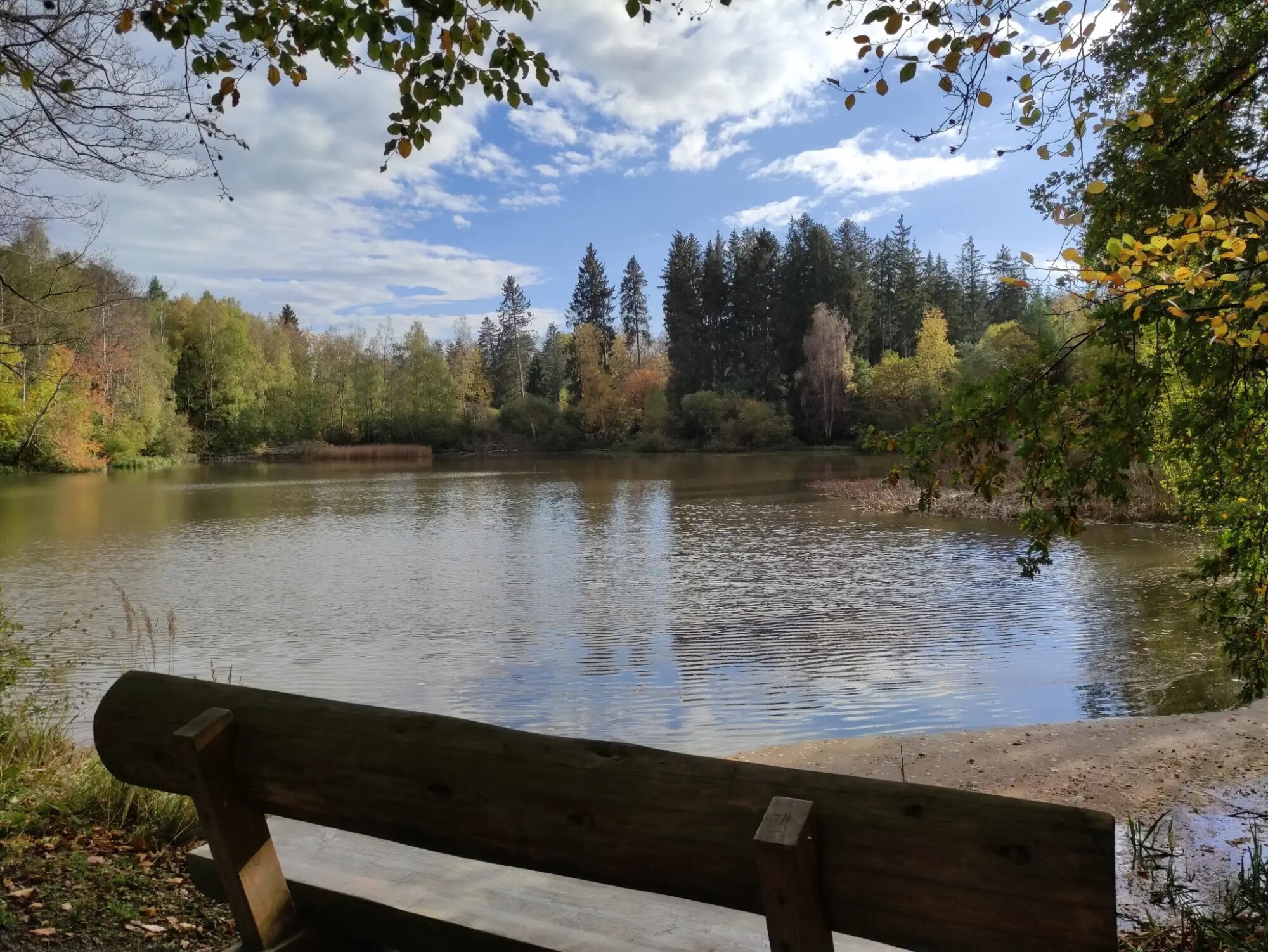 Mehlbacher Teich (Foto: Melanie Merte)