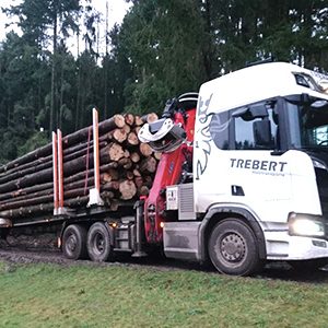 Trebert Holztransporte Romrod