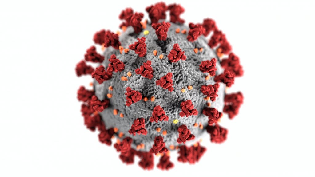 Corona-Virus (Bild: CDC, Pexels)