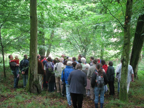 100 Jahre Schule Storndorf: Bachbegehung