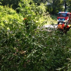 Freiwillige Feuerwehr Romrod