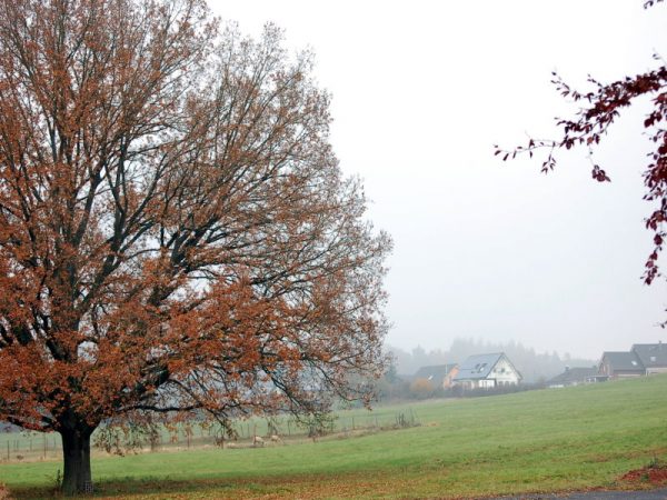 Romrod im Herbst (2011)