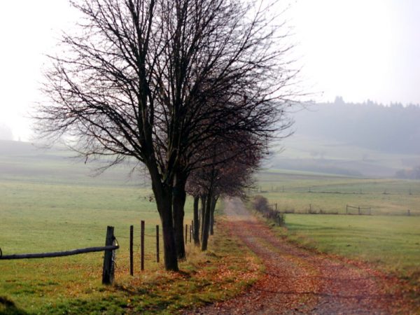 Romrod im Herbst (2011)