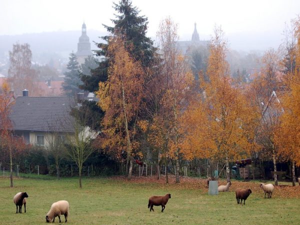 Romrod im Herbst (2011)