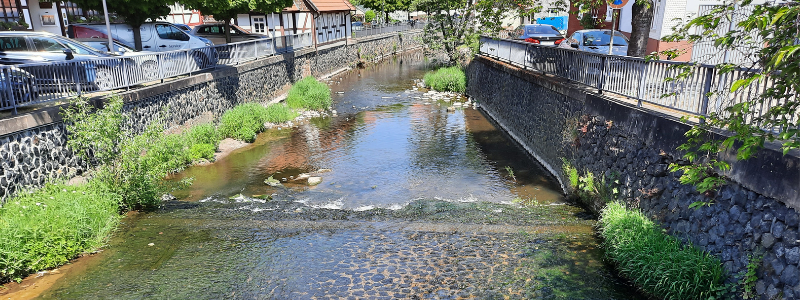 Aktuelles: Flusslandschaft der Lauter in Lauterbach