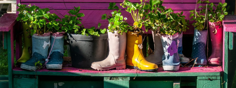 Bepflanzte Gummistiefel