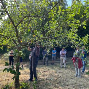 Sommerschnittlehrgang Ober-Breidenbach Juli 2022