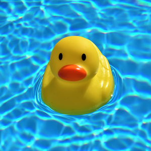 Befüllen von Gartenteichen und Schwimmbädern Romrod