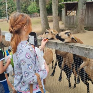 Ferienbetreuung Elternverein Betreuende Grundschule Romrod - Vogelpark 2022 - 01