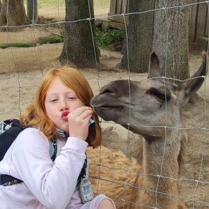 Ferienbetreuung Elternverein Betreuende Grundschule Romrod - Vogelpark 2022 - 04