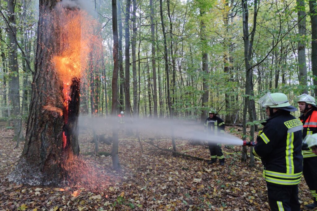 Feuerwehr verhindert Waldbrand bei Romrod (Oktober 2022) - 02