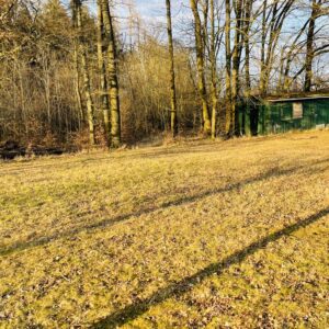 Festplatz Strebendorf am Waldrand