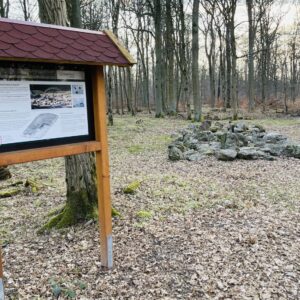 Das Monolithgrab in Romrod (Verlängerung Rabenstruth)