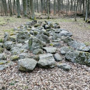 Das Monolithgrab in Romrod (Verlängerung Rabenstruth)