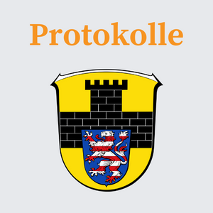 Protokolle der Stadt Romrod