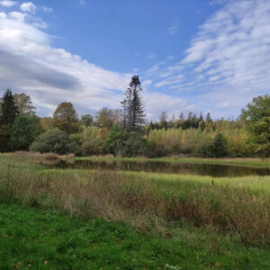 Radtour-Romröder-Teichrunde-01-Merschröder-Teich-_Foto-Melanie-Merte_