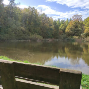 Radtour-Romröder-Teichrunde-02-Liederbacher-Teich-_Foto-Melanie-Merte_