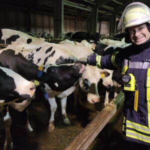 Die Freiwillige Feuerwehr und das liebe Vieh Romröder Brandschützer auf Tuchfühlung mit Kühen