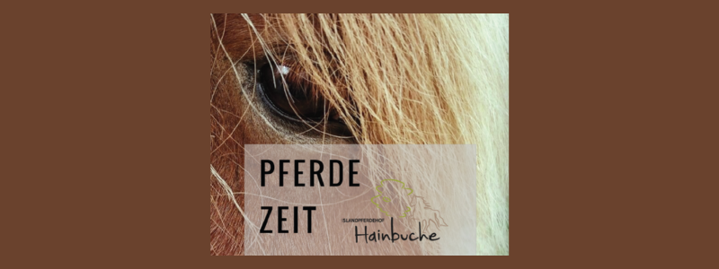 Pferdezeit Hainbuche 2023