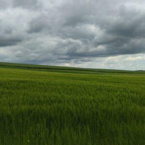 Landschaft - Romrod - Foto Philipp Weitzel