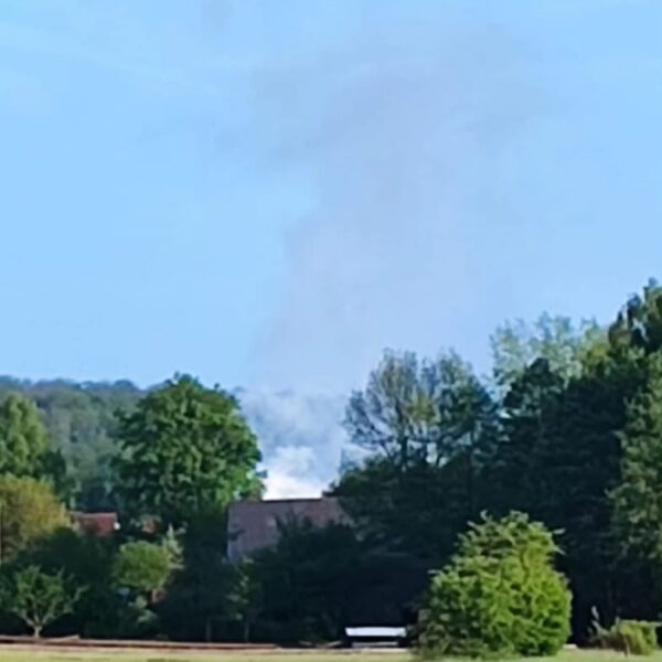 Feuerwehr löscht brennende Thuja-Hecke in Romrod (Mai 2023) - 2