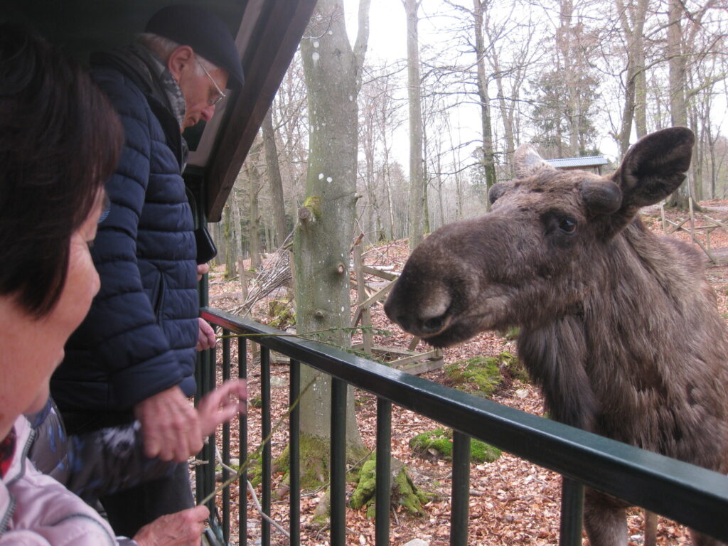 Hegegemeinschaft Felda fuhr nach Schweden und Dänemark (April 2023) - 1