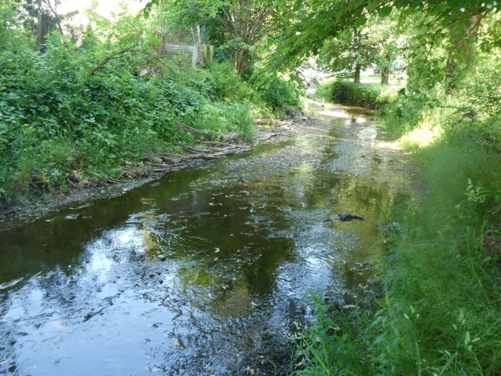 Streitbach bei Groß-Eichen