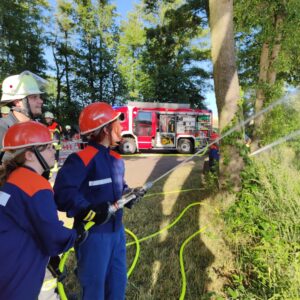 Feuerwehr Romrod trainierte Ablöschen eines Wald- und Wiesenbrandes (Juli 2023)