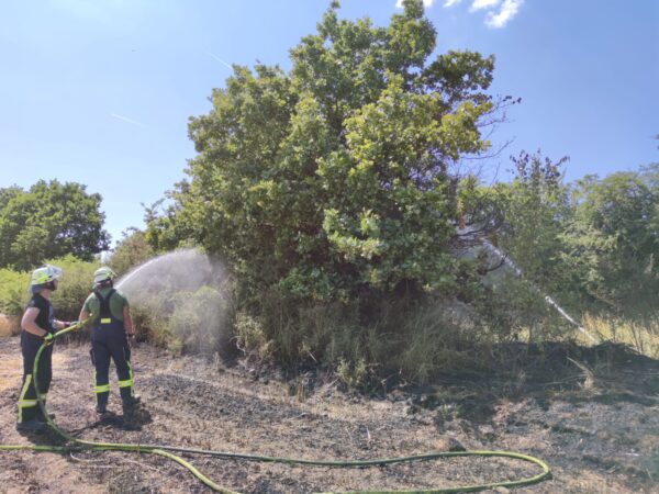 Flächenbrand bei Zell (Juli 2023)