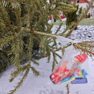 Jugendfeuerwehr Romrod sammelt 250 Weihnachtsbäume ein (Januar 2024) - 2