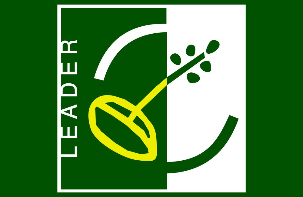 Logo Leader Programm (1000 x 650 px)