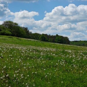 2024-05-09 - Wanderung des Fördervereins der Freiwilligen Feuerwehr - 7