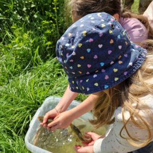 2024-06 - Islandpferdefreunde und Angelverein erforschten mit Kindern den Zeller Dorfteich - 8