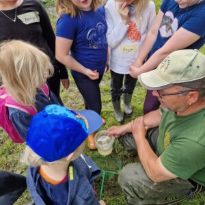 2024-06 - Islandpferdefreunde und Angelverein erforschten mit Kindern den Zeller Dorfteich - 9