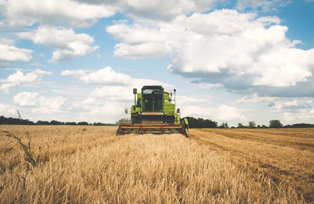 Mähdrescher, Landwirtschaft, Agrar