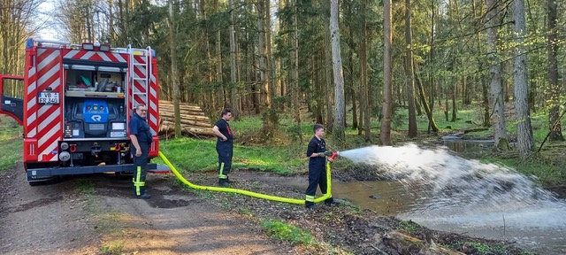2025-04 - Feuerwehr Romrod leistet wichtigen Beitrag zum Amphibienschutz