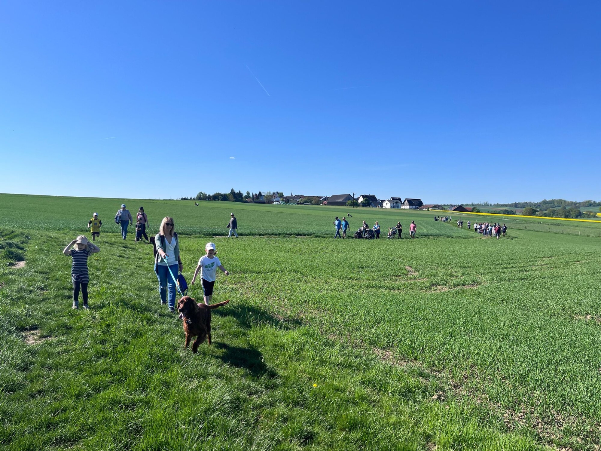 2025-05 - 1. Mai-Wanderung Obst- und Gartenbauverein Ober-Breidenbach - 1