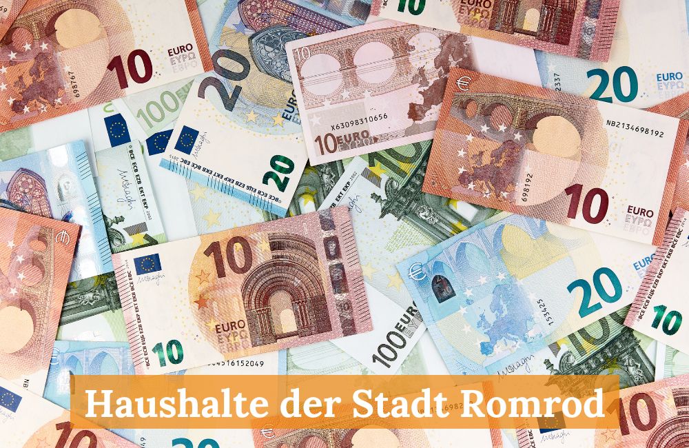 Haushalte der Stadt Romrod