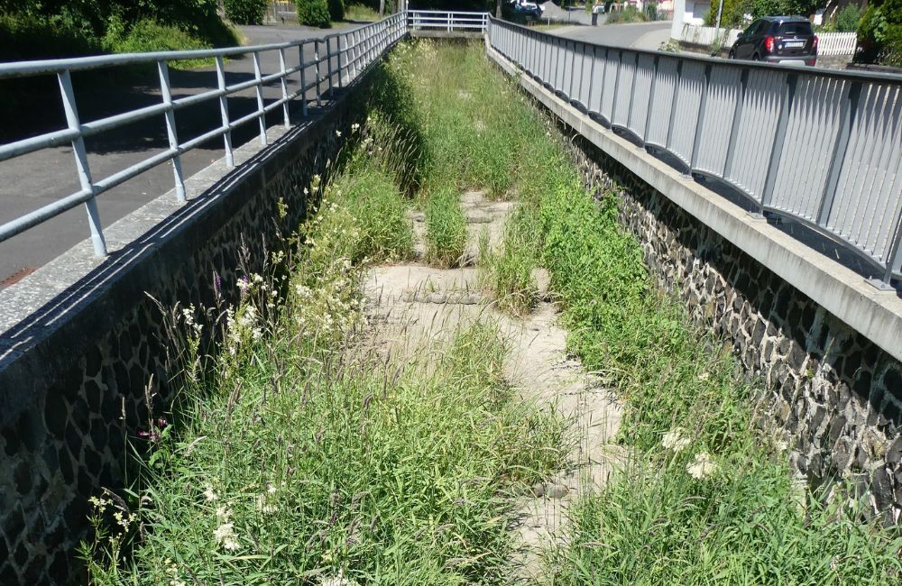 2025-06 - Die Folgen der Trockenheit sind deutlich zu sehen im Brenderwasser in Dirlammen (Foto Vogelsbergkreis)